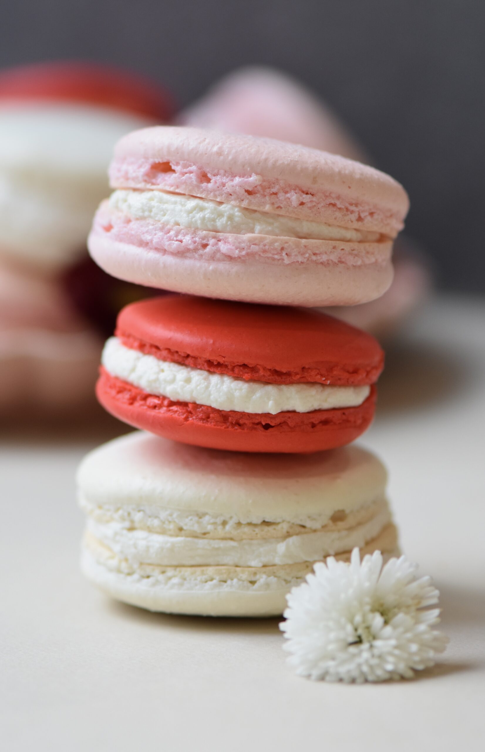 French Macarons! – Corrigan Sisters