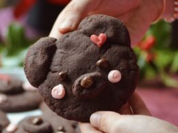 chocolatepeppermintbearcookies